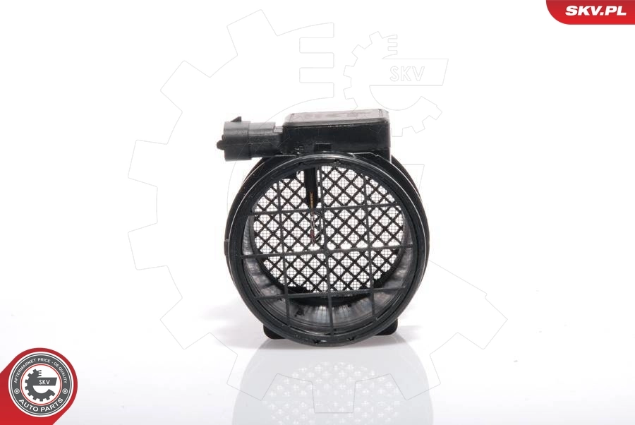 Mass Air Flow Sensor